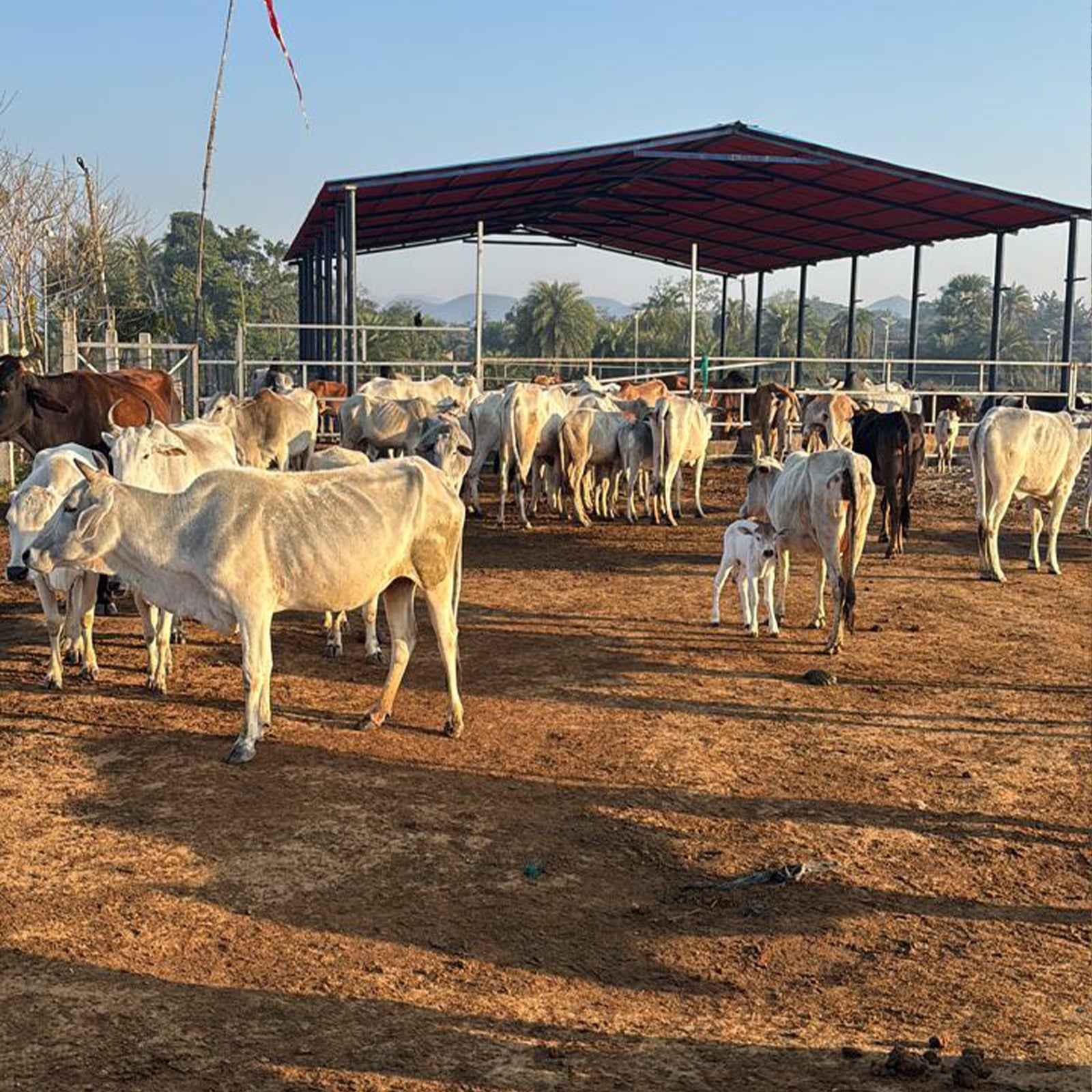 WhatsApp Image 2025-10-18 at 12.30.24 PM-min